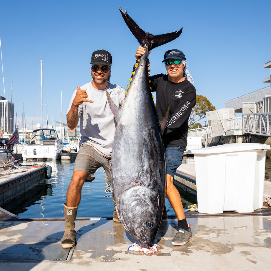 Fin Fetish BFT 9 10 21 22